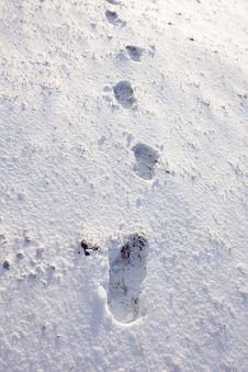 Footprints In The Snow Stock Image Footprints In The Snow Stock Image