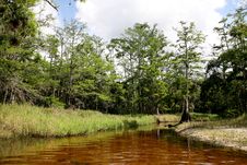 Creek Stock Image Creek Stock Image