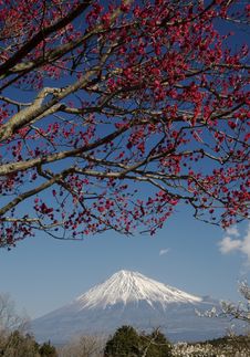 Mt Fuji-dg 48 Stock Photography Mt Fuji-dg 48 Stock Photography