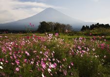 Mt Fuji Dg-28 Stock Photos Mt Fuji Dg-28 Stock Photos