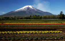 Mt Fuji Dg-22 Stock Image Mt Fuji Dg-22 Stock Image