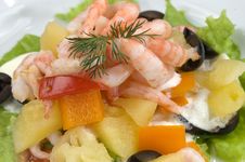 Prawn Salad. Royalty Free Stock Images Prawn Salad. Royalty Free Stock Images