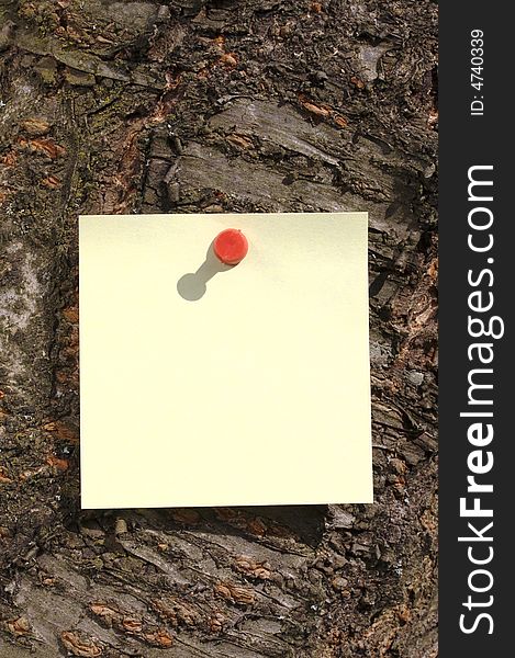 Sticky Note On A Tree