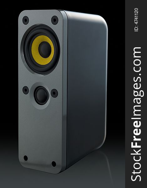 Two-way speaker on black background with clipping path