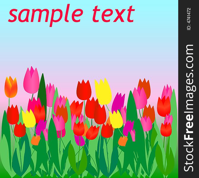 Flyer with color vector tulips. Flyer with color vector tulips