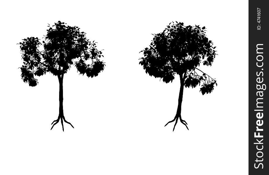 Silhouettes of two trees isolated on a white background. Silhouettes of two trees isolated on a white background