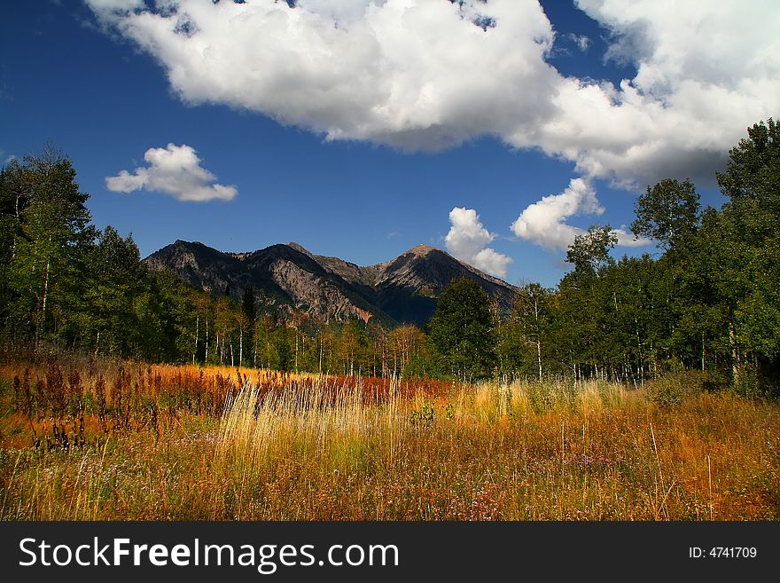 Mountain Flat in the summer showing all the colors with mountains in the background. Mountain Flat in the summer showing all the colors with mountains in the background