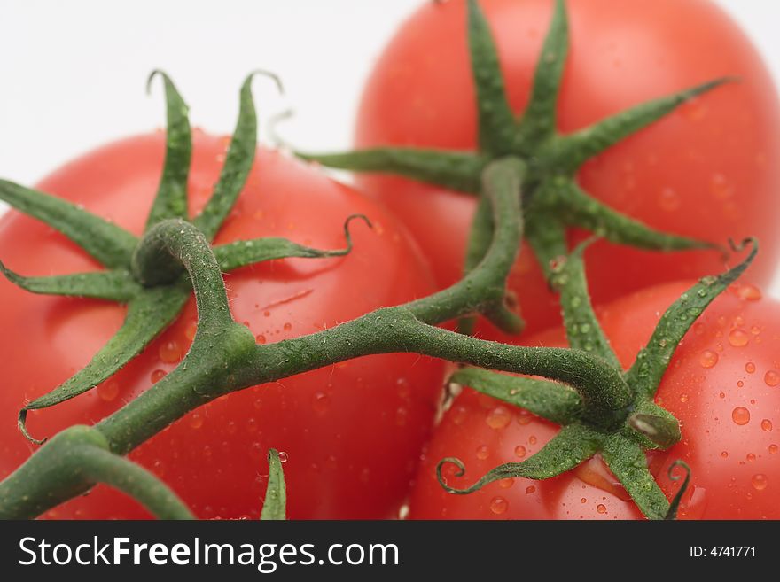 Fresh red organic tomatoes dew vegetable isolated. Fresh red organic tomatoes dew vegetable isolated