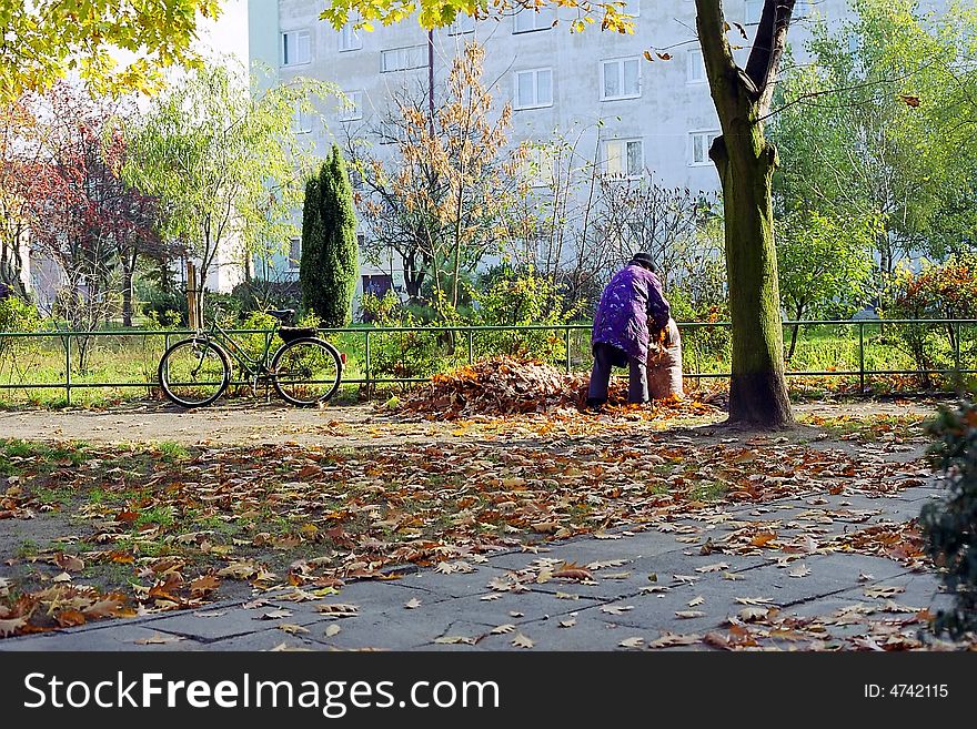 Autum scene with streetlight tree and building