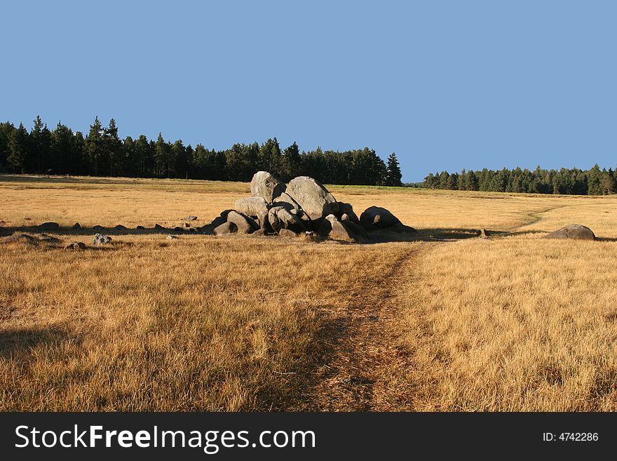 Mount Laguna Meadow