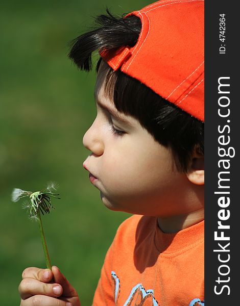 Young boy with orange hat blow dandelion