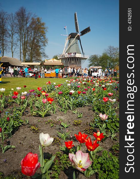 Beautiful garden of colorful flowers in spring (keukenhof, The Netherlands)