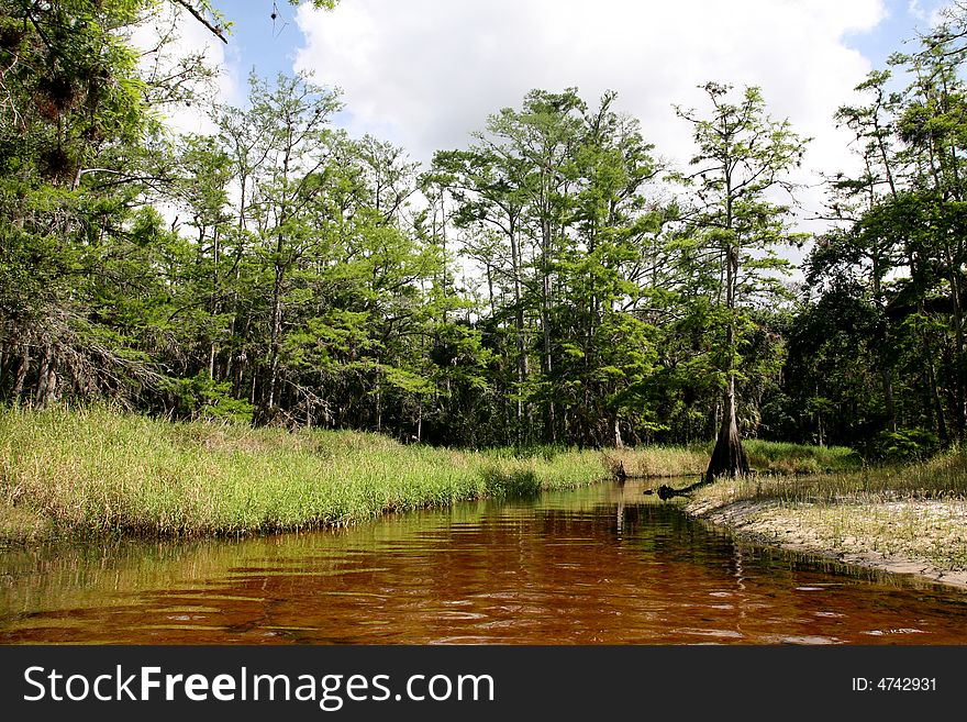 A back woods creek.  Fish Eating Creek