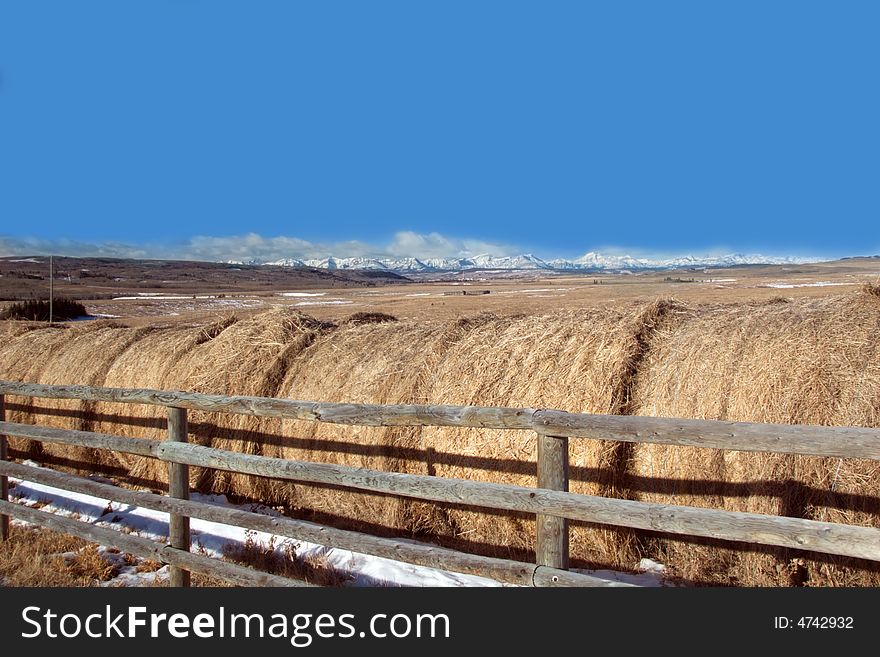 Rolls of hay near Canadian rockies. Rolls of hay near Canadian rockies
