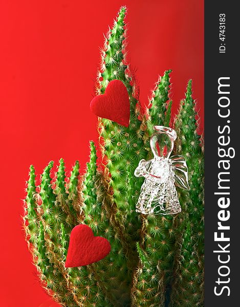 Green cactus with hearts and angel on red background. Green cactus with hearts and angel on red background