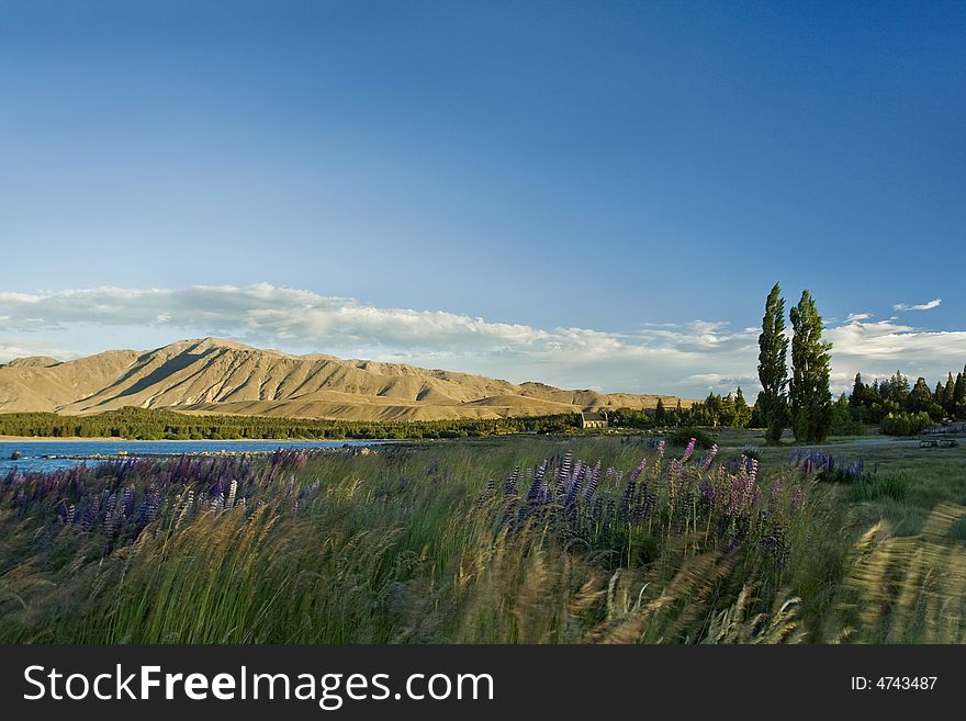 Late afterrnoon scenery. Two trees, lake and mountains at the back.
Taken near lake Tekapo in New Zealand. Late afterrnoon scenery. Two trees, lake and mountains at the back.
Taken near lake Tekapo in New Zealand.
