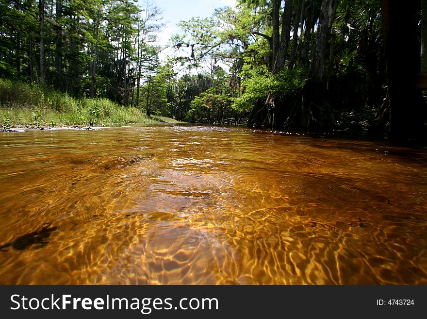 A back woods creek.  Fish Eating Creek. A back woods creek.  Fish Eating Creek