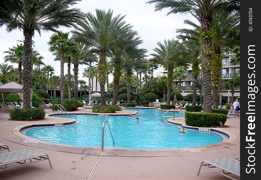 Swimming pool at the tropical resort with palm trees