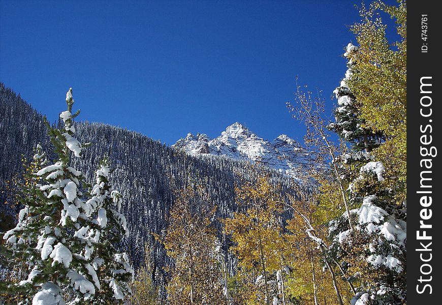 Early Winter Snow near Aspen. Early Winter Snow near Aspen