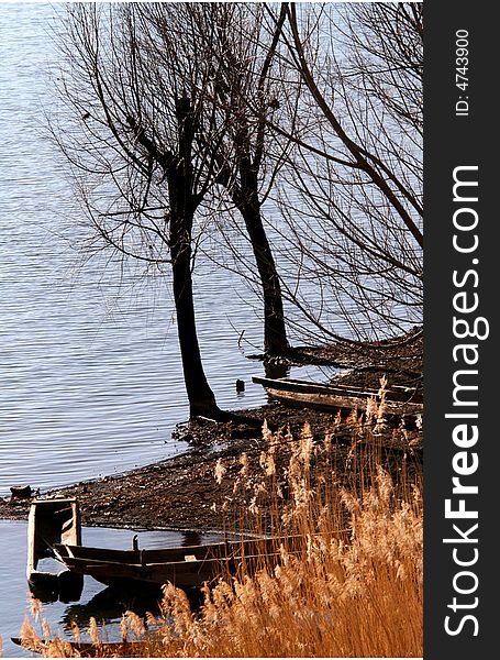 Trees ,reed,boat,makes the the shore of  Lake lugu more rich and beautiful. Trees ,reed,boat,makes the the shore of  Lake lugu more rich and beautiful.