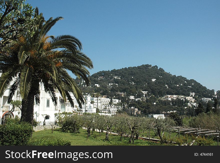 View of Italian Estates in Capri