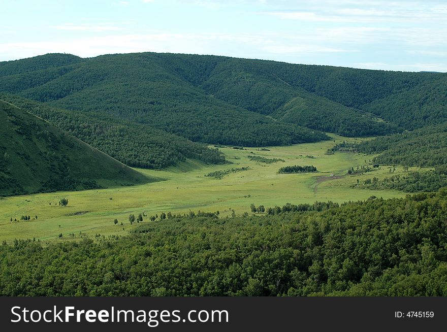 Grassland beautiful under the blue sky and white cloud