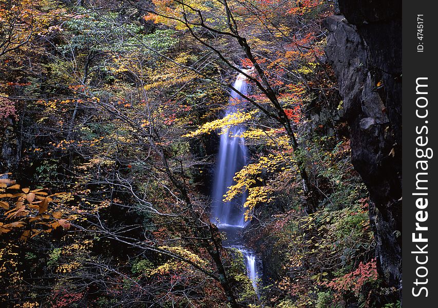 Japanese autumn scenery in mountain park-17. Japanese autumn scenery in mountain park-17