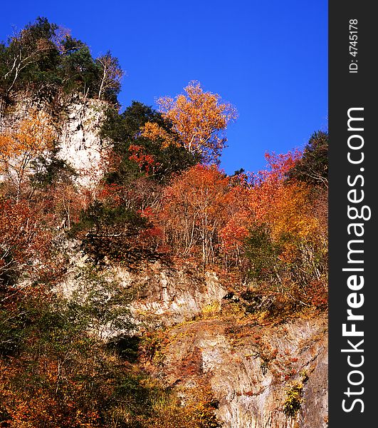 Japanese autumn scenery in mountain park-16. Japanese autumn scenery in mountain park-16