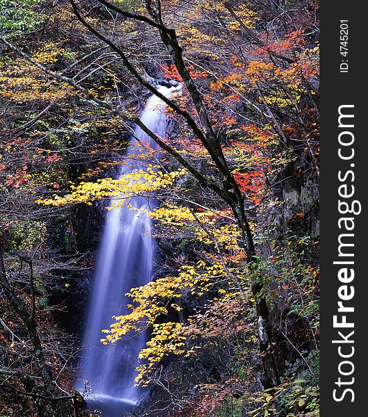 Japanese autumn scenery in mountain park-14. Japanese autumn scenery in mountain park-14
