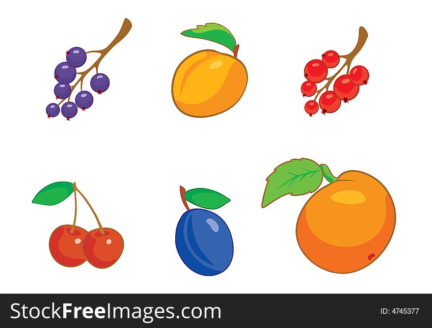 Summer berries icon set colorful. Summer berries icon set colorful