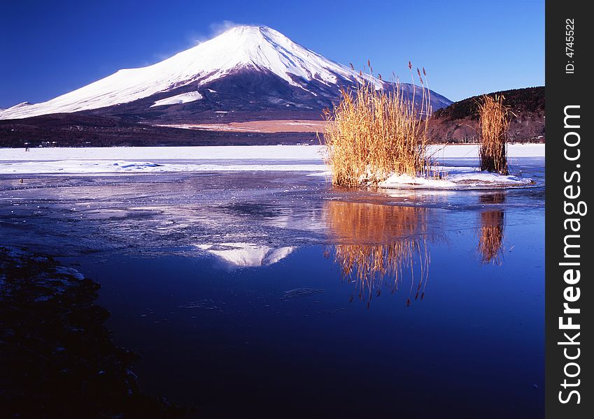 The reflection of Mt,fuji on a lake. The reflection of Mt,fuji on a lake