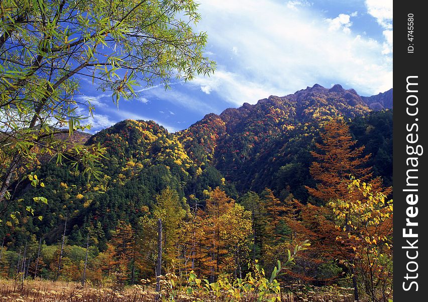 Japanese autumn scenery in mountain park. Japanese autumn scenery in mountain park