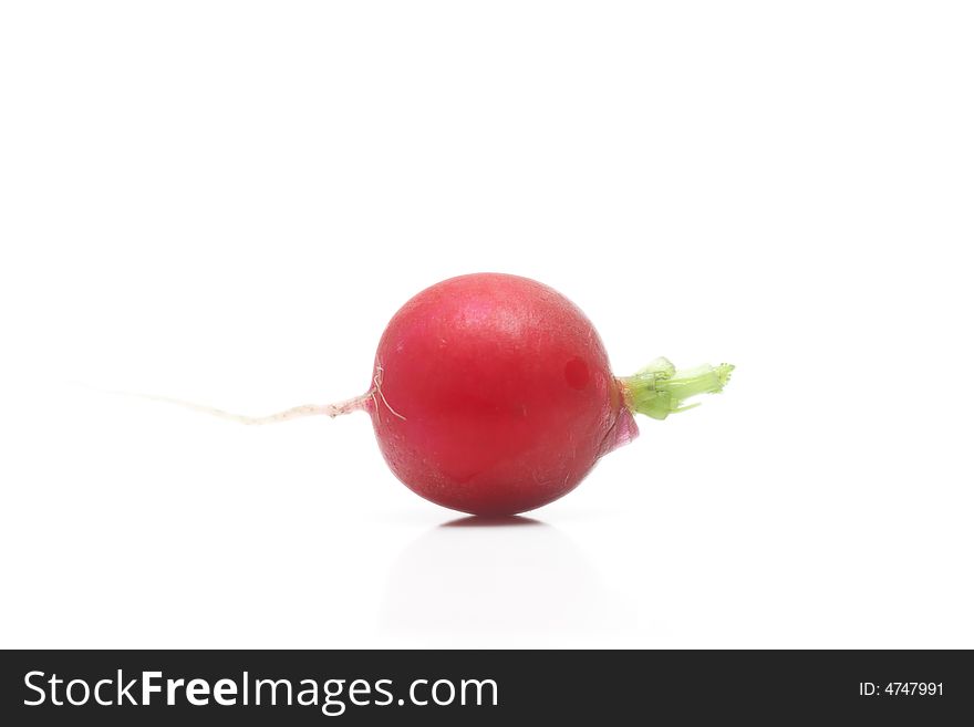 Fresh garden radishes and green spring onions