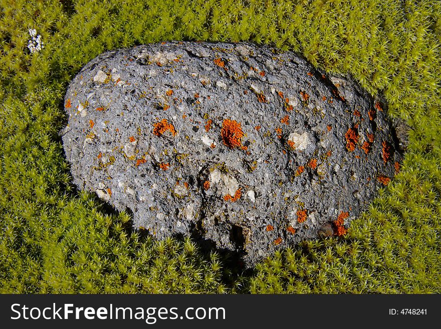 The grey stone covered by a lichen.
