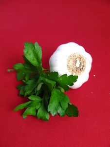 Bouquet Of Parsley And Garlic Stock Photo