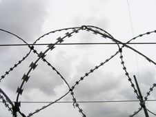 Barbed Wire Stock Images Barbed Wire Stock Images