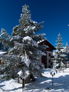 Garden And Chalet After Heavy Snow Stock Photo Garden And Chalet After Heavy Snow Stock Photo