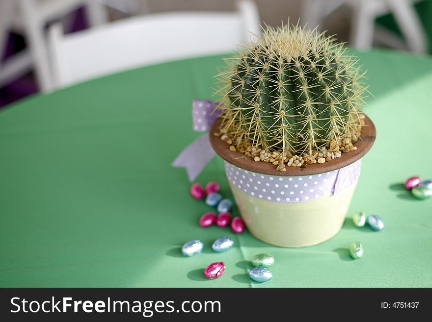 A cactus sitting in a flower pot on a green table. A cactus sitting in a flower pot on a green table.