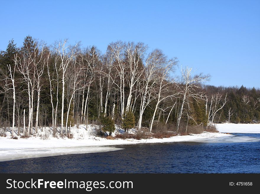 A bank of trees rest along the side of a cold lake in upstate New York. A bank of trees rest along the side of a cold lake in upstate New York.