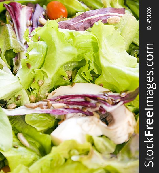 Salad close up. We can see lettuce, arugula (roket), radicchio (chicory), cherry tomato, mushroom, flax and sunflower seeds. Can be used as a background.