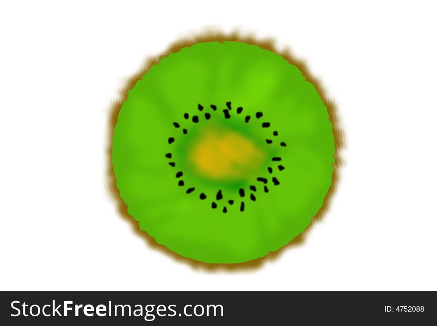 Illustration of the kiwi fruit