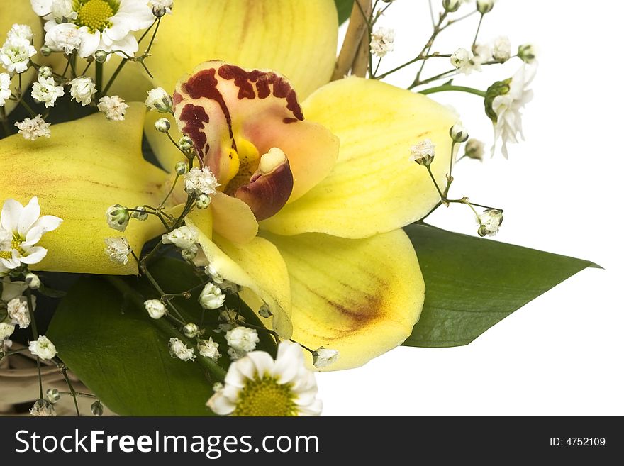 Bouquet of yellow orchids in basket isolated