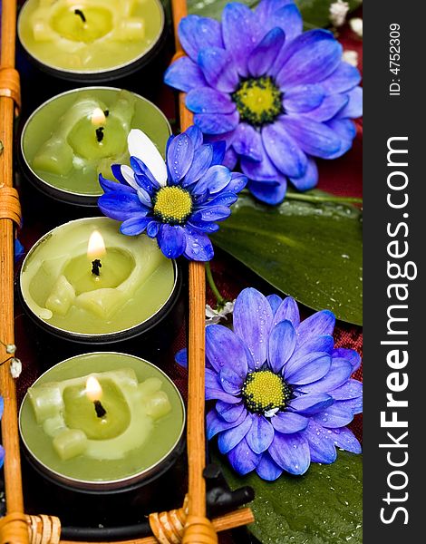 Row of green candles and blue flowers