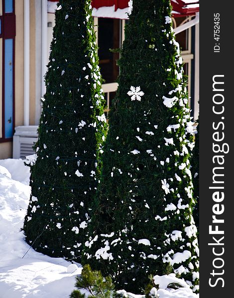 Christmas Trees In A Ski Resort Village