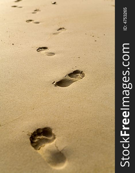 A pair of footprints trailing away in the distance on an isolated beach. A pair of footprints trailing away in the distance on an isolated beach.