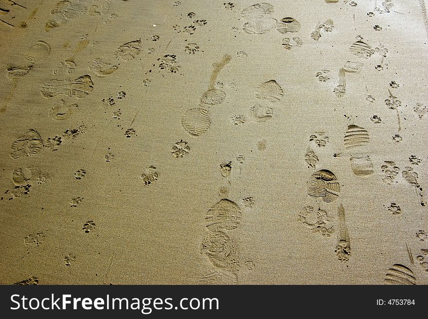 Assorted prints made on the wet sand. Assorted prints made on the wet sand
