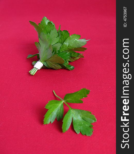 Bouquet of parsley tied with a white rope in red background.