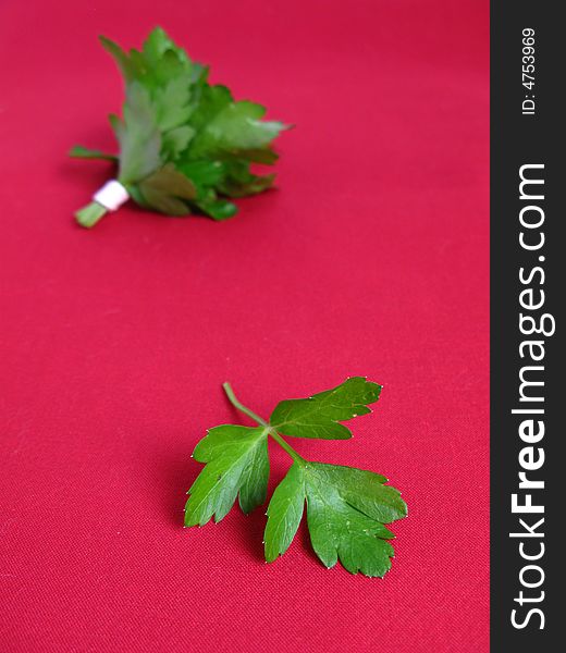 Bouquet Of Parsley