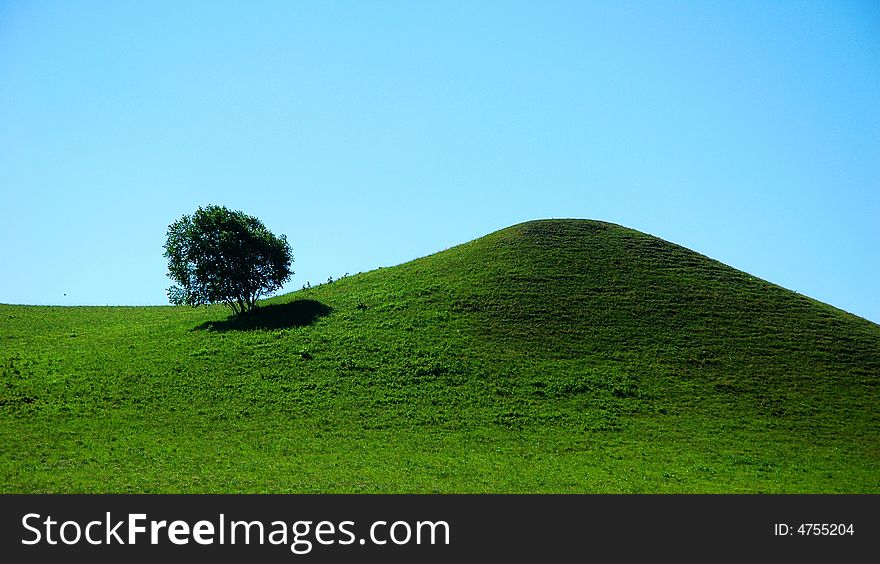 The Tree On The Top Of Mountain