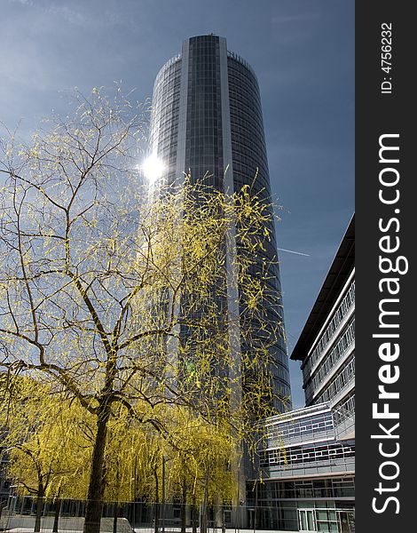 Round tower with yellow tree